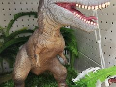 -TOYSRUS玩具反斗城(无锡荟聚购物中心店)