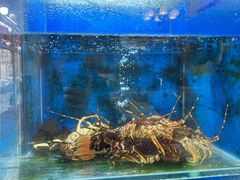 -小铜锣湾海鲜家常菜馆(河西店)