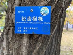 -国家植物园南园