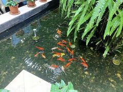 -天宫南铂玫瑰园酒店