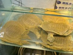 -岳各庄批发市场(西四环中路店)