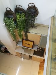 -谜秀韩式半永久纹眉纹绣洗眉