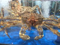 -七鲜超市(万向城店)