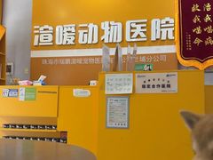 -渲嗳动物医院(异宠·复杂内科转诊中心·玖洲道富华里分院)