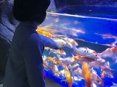 -左海海底世界
