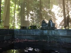 -黄山温泉国际旅游度假区