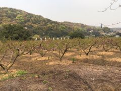 -龙寺生态园
