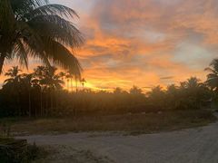 -兴隆槟榔园休闲农庄