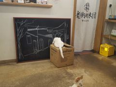-正南齐北·老街糯米团(洪崖洞店)