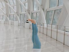 -凤凰中心