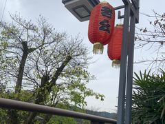 -老幺泉水鸡