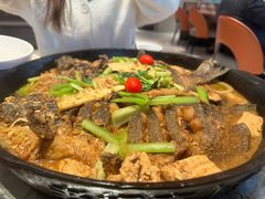 -老板恋上鱼(恒隆广场店)