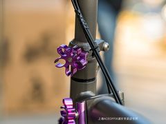 -ACEOFFIX折叠自行车(浦东专卖店)