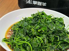 -谢记上海大排档(长寿路店)