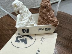 -野人先生现做冰淇淋(贵阳万象汇店)
