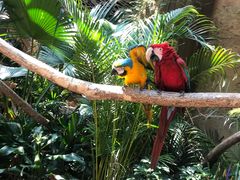 -杭州开元森泊度假乐园