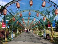 -嬉乐湾休闲旅游区