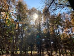 -长春市南湖公园