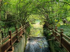 -桤木河湿地公园