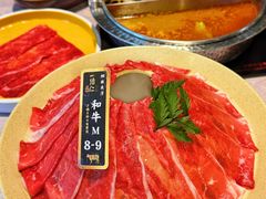 -一绪に寿喜烧自助(世茂广场店)