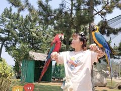 -西霞口神雕山野生动物世界