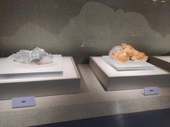 -青岛市博物馆