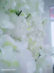 -爱儿宝孕妇儿童亲子摄影(月亮河店)