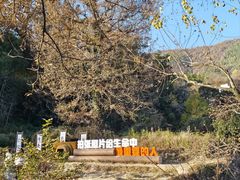 -塔川景区
