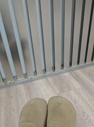 -跳动全城舞蹈