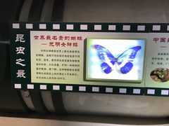 -上海昆虫博物馆