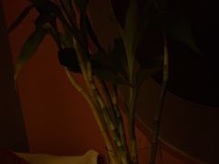 -臻喜悦足道(黄岛店)