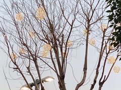 -坂田手造文化街
