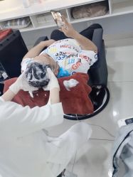 点击看大图 -新生植发·植养护一体