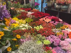 -双季花艺园艺市场(浦东店)