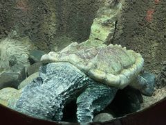 -太平洋海底世界