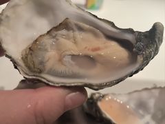 -Oyster Talks 四度蚝法餐厅
