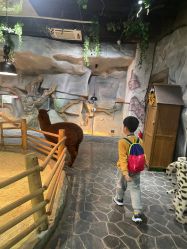 -Zoolung Zoolung动物主题公园(海信广场店)