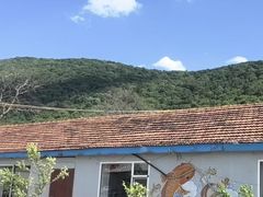 -庆岭迎宾园正宗活鱼馆