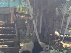 -泉州海丝野生动物世界