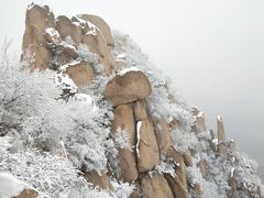 -北京凤凰岭