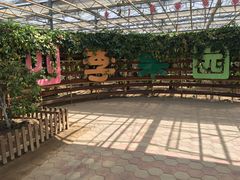 -上海都市菜园