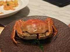 -苏帮袁Sue Cuisine(来福士店)