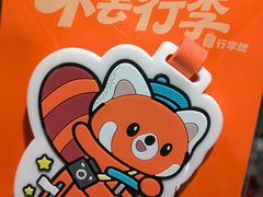 -天使宠物医院·犬猫分诊(彩虹店)