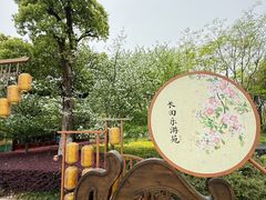 -长田漾湿地公园
