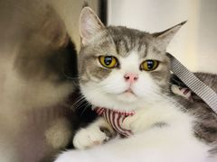 -宠颐生宠物医院·骨外科·犬猫全科诊疗中心(池州店)
