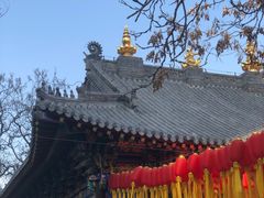 -护国法轮寺