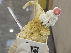 -野人先生现做冰淇淋(西安赛格店)