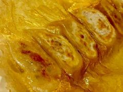 日式煎饺-鸟先生居酒屋(东湖馨园店)