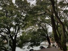 -食膳公园包子铺(烈士公园店)