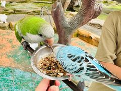-西霞口神雕山野生动物世界